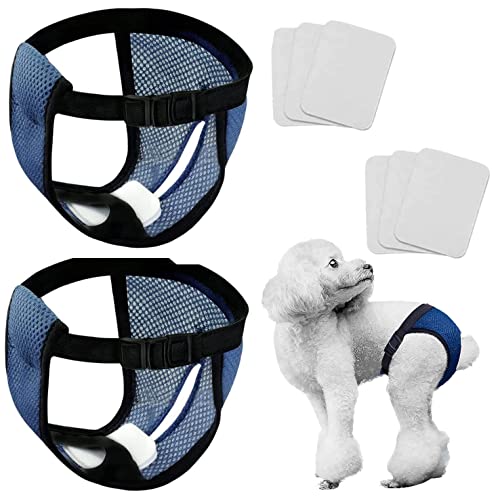 Norhogo Höschen Hündin Hundehose 2er Pack, mit 6 Hygienepad Waschbare für Hündinnen bei Monatliche Blutung Waschbare Schutzhose umweltfreundliche (Blau M) von Norhogo