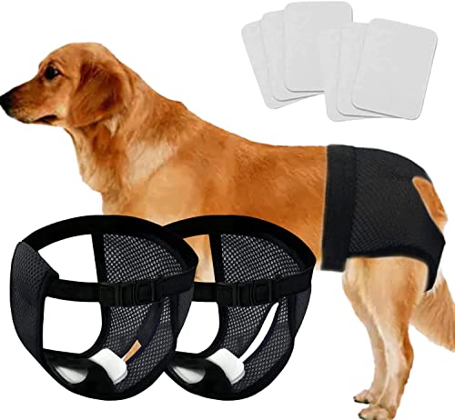 Norhogo Höschen Hündin Hundehose 2er Pack, mit 6 Hygienepad Waschbare für Hündinnen bei Monatliche Blutung Waschbare Schutzhose umweltfreundliche (schwarz L) von Norhogo