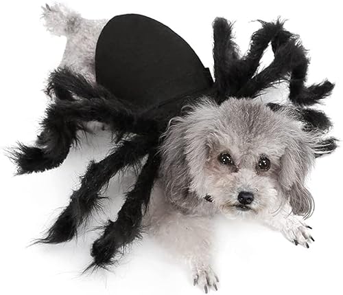 Norhogo Hunde-Kostüme, Halloween Spinnenkostüm Haustier Kleidung, Spinne Haustier Kostüm für Katze Hund,Spinne Fledermaus Rollenspiele Anzieh Kleidung für Katzen Flügel von Norhogo
