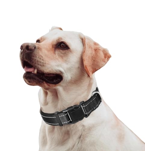 Norhogo Hundehalsband, Klassisches, verstellbares, reflektierendes Nylonhalsband, geeignet für mittelgroße Hunde, Schwarz, M von Norhogo