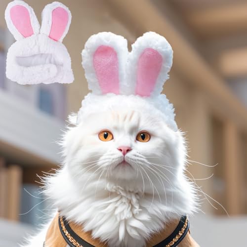 Norhogo Katzen-Hasenhut, niedliches Kostüm, Hasen-Hut für Katzen, kleine Hunde, lustig, niedlich, Haustierkostüm, Verkleidung, Party, Cosplay, Kopfbedeckung, Welpen, Haustierprodukte (weiß) Norhogo Katzen-Hasenhut, niedliches Kostüm, Hasen-Hut für Katzen, kleine Hunde, lustig, niedlich, Haustierkostüm, Verkleidung, Party, Cosplay, Kopfbedeckung, Welpen, Haustierprodukte (weiß) von Norhogo