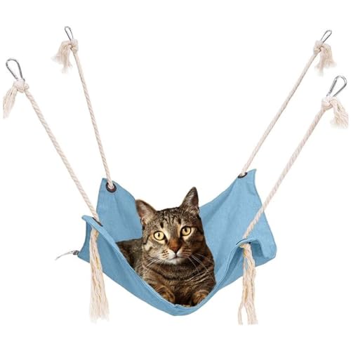Norhogo Katzenhängematte, Atmungsaktive Haustierkäfig Hängematte mit Metallkarabinern und Quasten, für Katzen, Frettchen, Ratte, Kaninchen, Kleine Hunde Haustiere Katzenkäfigbett Sitz 47x47CM (Blau) Norhogo Katzenhängematte, Atmungsaktive Haustierkäfig Hängematte mit Metallkarabinern und Quasten, für Katzen, Frettchen, Ratte, Kaninchen, Kleine Hunde Haustiere Katzenkäfigbett Sitz 47x47CM (Blau) von Norhogo
