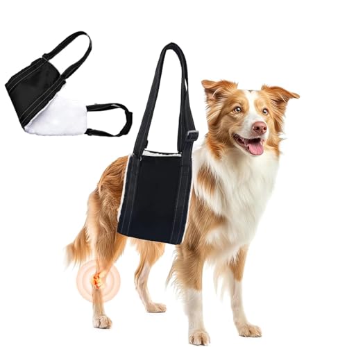 Norhogo Stütz- und Reha-Geschirr für schwache Hinterbeine, Hundetrage für Hinterbeine, Hunde-Hebegeschirr zum Anheben von Haustieren hinten hinten für Hunde und alte Kreuzband-Rehabilitation (Schwarz, Norhogo Stütz- und Reha-Geschirr für schwache Hinterbeine, Hundetrage für Hinterbeine, Hunde-Hebegeschirr zum Anheben von Haustieren hinten hinten für Hunde und alte Kreuzband-Rehabilitation (Schwarz, von Norhogo