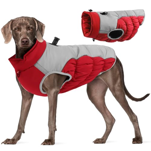 Norhogo Warme Winter Hundejacke, Hund Wintermantel Wasserdicht, Warme Hundemäntel wasserdichte Upgrade Hundekleidung mit Karabiner für kleine und mittelgroße Hunde (2XL, Rot) von Norhogo