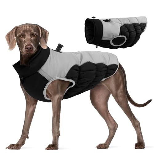 Norhogo Warme Winter Hundejacke, Hund Wintermantel Wasserdicht, Warme Hundemäntel wasserdichte Upgrade Hundekleidung mit Karabiner für kleine und mittelgroße Hunde (2XL, Schwarz) von Norhogo