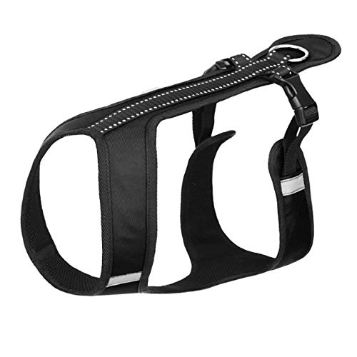 Northern Howl Canicross Hunde Zuggeschirr in Schwarz mit Reflektoren Northern Howl Canicross Hunde Zuggeschirr in Schwarz mit Reflektoren von Northern Howl