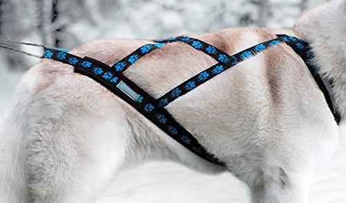 Northern Howl X-Back Zuggeschirr Fuer Bike-, Skijoring, Dogscooting, Schlitten, Blaue Pfoten (M) von Northern Howl