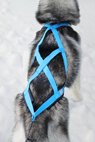 Northern Howl X-Back Zuggeschirr Fuer Bike-, Skijoring Dogscooting Canicross Schlitten in Blau Northern Howl X-Back Zuggeschirr Fuer Bike-, Skijoring Dogscooting Canicross Schlitten in Blau von Northern Howl