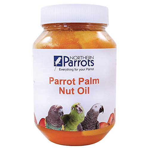 Palm-Nussöl für Papageien, nahrhafte, natürliche Leckerei für Graupapageien & andere Papageien von Northern Parrots