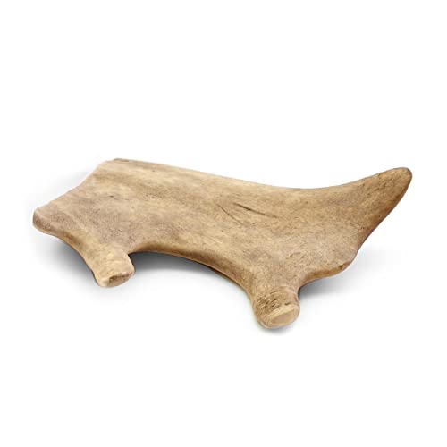 Nosli Damhirsch Geweihstange für Hunde & Welpen • Natürliches Hirschgeweih • Kauspielzeug Hund • L (151-225g) 3er Pack von Nosli