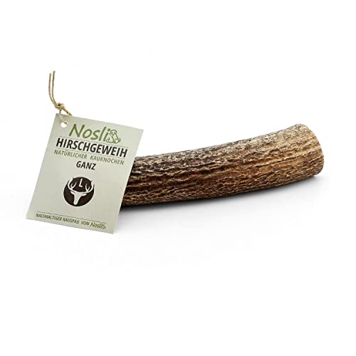 Nosli Geweihstange für Hunde Ganz • Hirschgeweih Hund • Natürliches Geweih • Kauspielzeug Welpe • L (151-225g) 3er Pack von Nosli