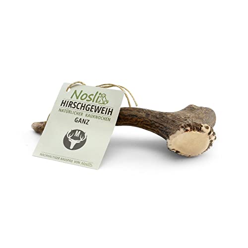 Nosli Geweihstange für Hunde Ganz • Hirschgeweih Hund • Natürliches Geweih • Kauspielzeug Welpe • M (76-150g) 3er Pack von Nosli