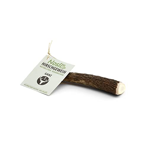 Nosli Geweihstange für Hunde Ganz • Hirschgeweih Hund • Natürliches Geweih • Kauspielzeug Welpe • S (50-75g) 3er Pack von Nosli