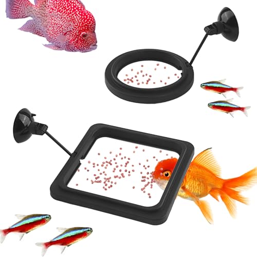 2 Stück Fischfütterungsringe für Aquarien, verhindern, DASS Wasserturbulenzen das Futter in den Filter spülen, praktischer, runder, schwimmender Futterpflanzenring für Guppys und andere kleine Fische 2 Stück Fischfütterungsringe für Aquarien, verhindern, DASS Wasserturbulenzen das Futter in den Filter spülen, praktischer, runder, schwimmender Futterpflanzenring für Guppys und andere kleine Fische von Notoke