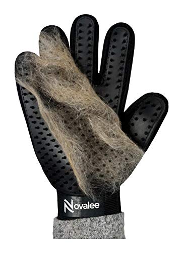 Novalee Haustier Bürsten Handschuh (schwarz) für Hund, Katze & Pferd Fellpflege-Handschuhe Massage und Tierhaar-Entfernung von Novalee
