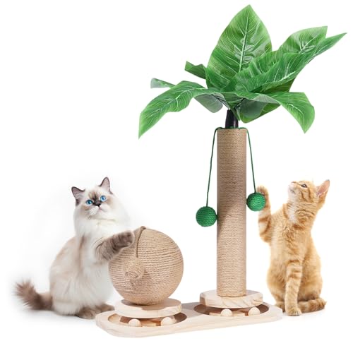 Novelfun Katzenkratzbaum Palme Kratzsäulen für Katzen 2 In 1 Interaktives Katzenspielzeug mit Hängenden Kugeln Kratzpfosten Katzen Spielzeug für kleine und mittlere Katzen Novelfun Katzenkratzbaum Palme Kratzsäulen für Katzen 2 In 1 Interaktives Katzenspielzeug mit Hängenden Kugeln Kratzpfosten Katzen Spielzeug für kleine und mittlere Katzen von Novelfun