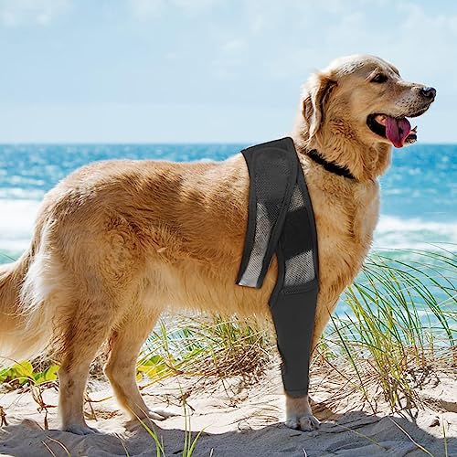 Hund Oberschenkel,Anti-Rutsch-Streifen Hundearm Sleeve Hundehock Brace | Einstellbare Armhülse, unterstützt und schützt beschädigte Gelenke für kleine bis große Hunde Novent Hund Oberschenkel,Anti-Rutsch-Streifen Hundearm Sleeve Hundehock Brace | Einstellbare Armhülse, unterstützt und schützt beschädigte Gelenke für kleine bis große Hunde Novent von Novent
