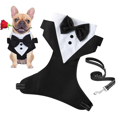 Novent -Hochzeitsanzug für Hunde,Hochzeitsanzug für Hunde - Formeller für Hunde mit Fliege und Zugseil,Hunde-, formelle Hundekleidung, Hemdkostüm, Welpenkleidung, Hunde-Outfit von Novent