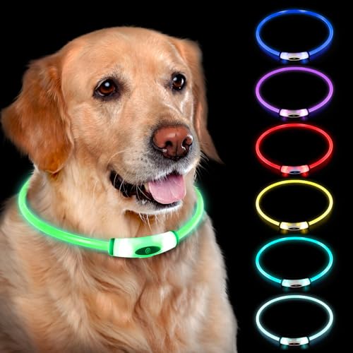 NOVKIN Beleuchtetes Hundehalsband, wiederaufladbar, 7 Farben, wechselnd, leuchtendes Hundehalsband, IP67 wasserdicht, leuchtet im Dunkeln, macht das Haustier sichtbar und sicher für nächtliche NOVKIN Beleuchtetes Hundehalsband, wiederaufladbar, 7 Farben, wechselnd, leuchtendes Hundehalsband, IP67 wasserdicht, leuchtet im Dunkeln, macht das Haustier sichtbar und sicher für nächtliche von Novkin
