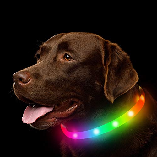 NOVKIN LED-Hundehalsband, wiederaufladbares Hundehalsband mit RGB-Farbwechsel, wasserdichte Hundelichter Machen das Haustier sichtbar und sicher für Nachtspaziergängefür kleine, mittelgroße Hunde von Novkin