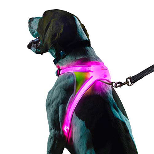 noxgear LightHound – Revolutionäres beleuchtetes und reflektierendes Geschirr für Hunde, inklusive mehrfarbiger LED-Faseroptik (USB wiederaufladbar, verstellbar, leicht, regendicht) (groß) von Noxgear