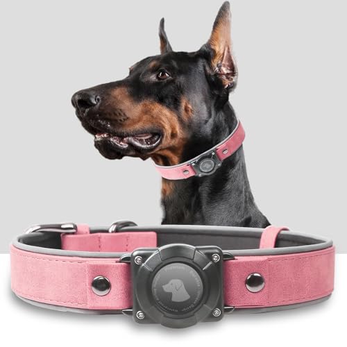 AirTag Hundehalsband – Hundehalsband aus Leder mit Airtag-Halterung | IPX8 wasserdicht, reflektierend, hochendig, verstellbar, weich gepolstert | GPS-Tracker-Halsbänder für mittelgroße und große Hunde AirTag Hundehalsband – Hundehalsband aus Leder mit Airtag-Halterung | IPX8 wasserdicht, reflektierend, hochendig, verstellbar, weich gepolstert | GPS-Tracker-Halsbänder für mittelgroße und große Hunde von NozlaID