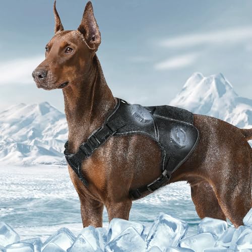 Kühlendes Hundegeschirr, Größe L von NozlaID