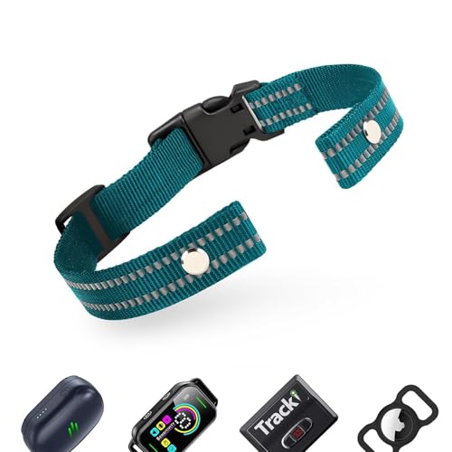 Reflektierendes Hundehalsband, Verstellbares Halsband Hund aus Nylon, Ersatzriemen Hundehalsband, Komfortabel Halsband für Kleine, Mittlere und Große Hunde, Grün von NozlaID