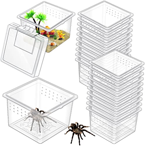 20 Stück Insekten-Spinnen-Terrarien, Zuchtbox, klein, für Reptilien, Brutbehälter, transparent, für Cricket-Züchter, Futterbox, Spinnenkäfig mit Deckel für Skorpion, Gecko, Tausendfüßer, Tarantel von Nuanchu