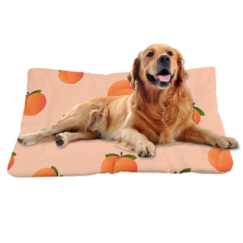 Nudoraw Hundebett Grosse Hunde,Hundekissen Grosse Hunde,Hundekörbchen,Hundebetten für Große Hund,Hundebett Waschbar,Dog Bed,Hundematte Waschbar,Hundekorb,Katzenkissen,Hundeliege,Pfirsich,91x61cm von Nudoraw