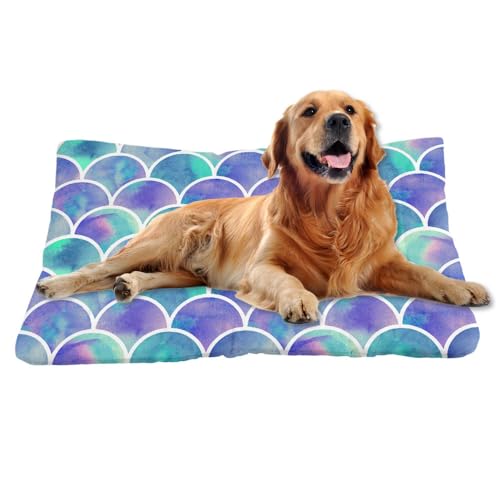 Nudoraw Hundebett Grosse Hunde,Hundekissen Grosse Hunde,Hundekörbchen,Hundebetten für Große Hund,Hundekorb,Dog Bed,Hundematte Waschbar,Katzenkissen,Hundebett Waschbar,Hundeliege,Meeresthema,91x61cm Nudoraw Hundebett Grosse Hunde,Hundekissen Grosse Hunde,Hundekörbchen,Hundebetten für Große Hund,Hundekorb,Dog Bed,Hundematte Waschbar,Katzenkissen,Hundebett Waschbar,Hundeliege,Meeresthema,91x61cm von Nudoraw