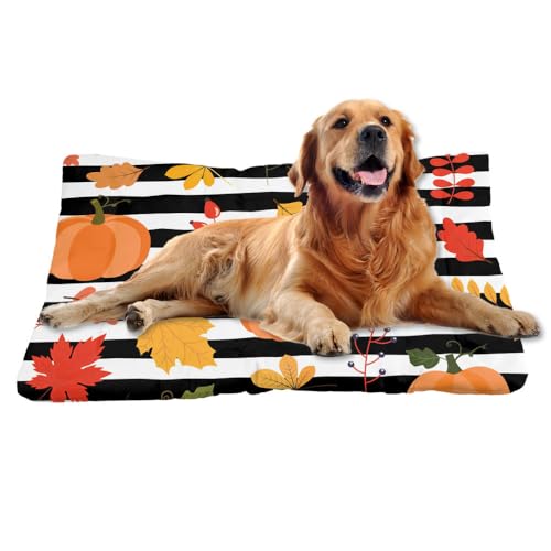 Nudoraw Hundebett Grosse Hunde,Hundekissen Grosse Hunde,Hundekörbchen,Hundebetten für Große Hund,Hundematte Waschbar,Katzenkissen,Hundekorb,Hundebett Waschbar,Dog Bed,Hundeliege,Thanksgiving,91x61cm Nudoraw Hundebett Grosse Hunde,Hundekissen Grosse Hunde,Hundekörbchen,Hundebetten für Große Hund,Hundematte Waschbar,Katzenkissen,Hundekorb,Hundebett Waschbar,Dog Bed,Hundeliege,Thanksgiving,91x61cm von Nudoraw