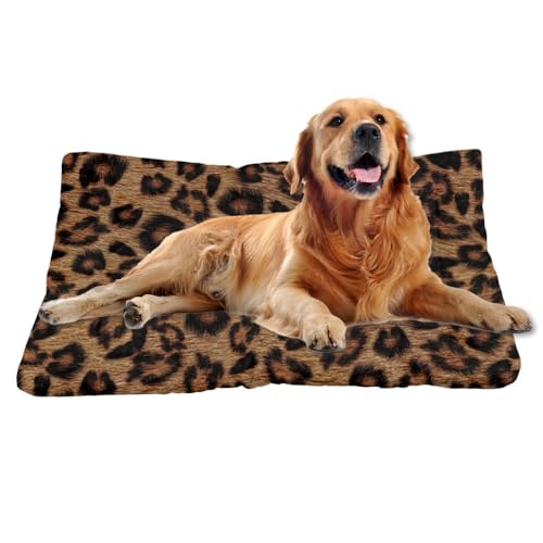 Nudoraw Hundebett Mittelgroße Hunde,Hundekissen Mittelgroße Hunde,Hundekörbchen,Dog Bed,Hundebettn Waschbar,Hundekorb,Hundebetten,Hundematte Waschbarm,Katzenkissen,Hundeliege,Leopardenmuster,61x46cm Nudoraw Hundebett Mittelgroße Hunde,Hundekissen Mittelgroße Hunde,Hundekörbchen,Dog Bed,Hundebettn Waschbar,Hundekorb,Hundebetten,Hundematte Waschbarm,Katzenkissen,Hundeliege,Leopardenmuster,61x46cm von Nudoraw