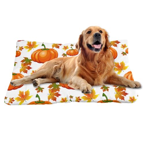 Nudoraw Hundebett Mittelgroße Hunde,Hundekissen Mittelgroße Hunde,Hundekörbchen,Dog Bed,Hundebettn Waschbar,Hundekorb,Hundebetten,Hundematte Waschbarm,Katzenkissen,Hundeliege,Thanksgiving,61x46cm Nudoraw Hundebett Mittelgroße Hunde,Hundekissen Mittelgroße Hunde,Hundekörbchen,Dog Bed,Hundebettn Waschbar,Hundekorb,Hundebetten,Hundematte Waschbarm,Katzenkissen,Hundeliege,Thanksgiving,61x46cm von Nudoraw