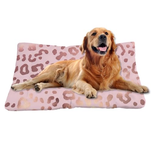 Nudoraw Hundebett Mittelgroße Hunde,Hundekissen Mittelgroße Hunde,Hundekörbchen,Dog Bed,Hundekorb,Hundebettn Waschbar,Hundebetten,Hundematte Waschbarm,Katzenkissen,Hundeliege,Leopardenmuster,61x46cm Nudoraw Hundebett Mittelgroße Hunde,Hundekissen Mittelgroße Hunde,Hundekörbchen,Dog Bed,Hundekorb,Hundebettn Waschbar,Hundebetten,Hundematte Waschbarm,Katzenkissen,Hundeliege,Leopardenmuster,61x46cm von Nudoraw