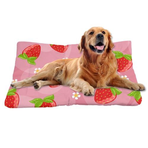 Nudoraw Hundebett Mittelgroße Hunde,Hundekissen Mittelgroße Hunde,Hundekörbchen,Dog Bed,Hundekorb,Hundebettn Waschbar,Hundebetten,Hundematte Waschbarm,Katzenkissen,Hundeliege,Erdbeer,61x46cm Nudoraw Hundebett Mittelgroße Hunde,Hundekissen Mittelgroße Hunde,Hundekörbchen,Dog Bed,Hundekorb,Hundebettn Waschbar,Hundebetten,Hundematte Waschbarm,Katzenkissen,Hundeliege,Erdbeer,61x46cm von Nudoraw