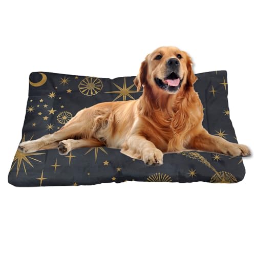 Nudoraw Hundebett Mittelgroße Hunde,Hundekissen Mittelgroße Hunde,Hundekörbchen,Hundebetten,Hundekorb,Dog Bed,Hundematte Waschbarm,Hundebettn Waschbar,Katzenkissen,Hundeliege,Galaxie-Print,61x46cm Nudoraw Hundebett Mittelgroße Hunde,Hundekissen Mittelgroße Hunde,Hundekörbchen,Hundebetten,Hundekorb,Dog Bed,Hundematte Waschbarm,Hundebettn Waschbar,Katzenkissen,Hundeliege,Galaxie-Print,61x46cm von Nudoraw