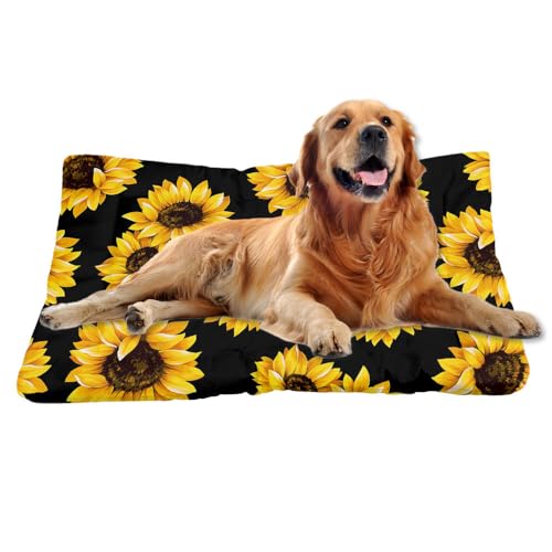 Nudoraw Hundebett Mittelgroße Hunde,Hundekissen Mittelgroße Hunde,Hundekörbchen,Hundebetten,Hundekorb,Dog Bed,Hundematte Waschbarm,Hundebettn Waschbar,Katzenkissen,Hundeliege,Sunflower,61x46cm Nudoraw Hundebett Mittelgroße Hunde,Hundekissen Mittelgroße Hunde,Hundekörbchen,Hundebetten,Hundekorb,Dog Bed,Hundematte Waschbarm,Hundebettn Waschbar,Katzenkissen,Hundeliege,Sunflower,61x46cm von Nudoraw