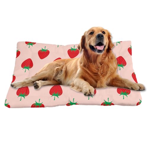 Nudoraw Hundebett Mittelgroße Hunde,Hundekissen Mittelgroße Hunde,Hundekörbchen,Hundebetten,Hundekorb,Hundebettn Waschbar,Dog Bed,Hundematte Waschbarm,Katzenkissen,Hundeliege,Erdbeer,61x46cm Nudoraw Hundebett Mittelgroße Hunde,Hundekissen Mittelgroße Hunde,Hundekörbchen,Hundebetten,Hundekorb,Hundebettn Waschbar,Dog Bed,Hundematte Waschbarm,Katzenkissen,Hundeliege,Erdbeer,61x46cm von Nudoraw