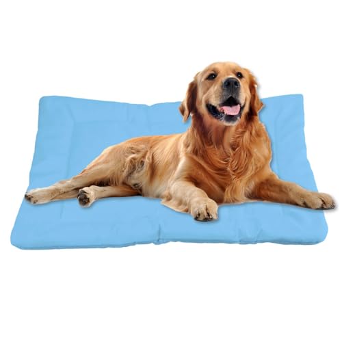 Nudoraw Hundebett Mittelgroße Hunde,Hundekissen Mittelgroße Hunde,Hundekörbchen,Hundebetten,Hundematte Waschbarm,Dog Bed,Hundebettn Waschbar,Hundekorb,Katzenkissen,Hundeliege,Hellblau,61x46cm Nudoraw Hundebett Mittelgroße Hunde,Hundekissen Mittelgroße Hunde,Hundekörbchen,Hundebetten,Hundematte Waschbarm,Dog Bed,Hundebettn Waschbar,Hundekorb,Katzenkissen,Hundeliege,Hellblau,61x46cm von Nudoraw