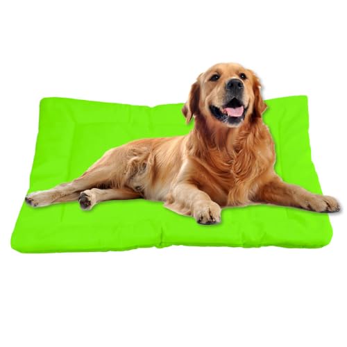 Nudoraw Hundebett Mittelgroße Hunde,Hundekissen Mittelgroße Hunde,Hundekörbchen,Hundebetten,Hundematte Waschbarm,Dog Bed,Hundebettn Waschbar,Hundekorb,Katzenkissen,Hundeliege,Lindgrün,61x46cm Nudoraw Hundebett Mittelgroße Hunde,Hundekissen Mittelgroße Hunde,Hundekörbchen,Hundebetten,Hundematte Waschbarm,Dog Bed,Hundebettn Waschbar,Hundekorb,Katzenkissen,Hundeliege,Lindgrün,61x46cm von Nudoraw