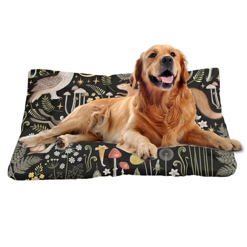 Nudoraw Hundebett Mittelgroße Hunde,Hundekissen Mittelgroße Hunde,Hundekörbchen,Hundebettn Waschbar,Hundebetten,Hundematte Waschbarm,Dog Beds,Hundekorb,Katzenkissen,Hundeliege,Cartoon Tier,61x46cm Nudoraw Hundebett Mittelgroße Hunde,Hundekissen Mittelgroße Hunde,Hundekörbchen,Hundebettn Waschbar,Hundebetten,Hundematte Waschbarm,Dog Beds,Hundekorb,Katzenkissen,Hundeliege,Cartoon Tier,61x46cm von Nudoraw