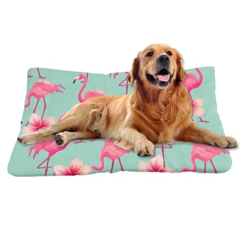 Nudoraw Hundebett Mittelgroße Hunde,Hundekissen Mittelgroße Hunde,Hundekörbchen,Hundebettn Waschbar,Hundekorb,Hundematte Waschbarm,Hundebetten,Dog Bed,Katzenkissen,Hundeliege,Cartoon Tier,61x46cm Nudoraw Hundebett Mittelgroße Hunde,Hundekissen Mittelgroße Hunde,Hundekörbchen,Hundebettn Waschbar,Hundekorb,Hundematte Waschbarm,Hundebetten,Dog Bed,Katzenkissen,Hundeliege,Cartoon Tier,61x46cm von Nudoraw