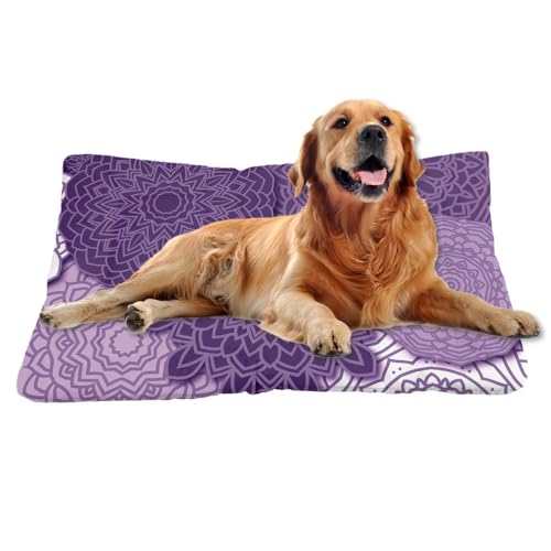 Nudoraw Hundebett Mittelgroße Hunde,Hundekissen Mittelgroße Hunde,Hundekörbchen,Hundebettn Waschbar,Hundematte Waschbarm,Hundebetten,Dog Bed,Hundekorb,Katzenkissen,Hundeliege,Blumenmuster,61x46cm Nudoraw Hundebett Mittelgroße Hunde,Hundekissen Mittelgroße Hunde,Hundekörbchen,Hundebettn Waschbar,Hundematte Waschbarm,Hundebetten,Dog Bed,Hundekorb,Katzenkissen,Hundeliege,Blumenmuster,61x46cm von Nudoraw