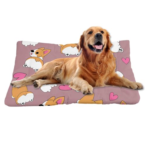 Nudoraw Hundebett Mittelgroße Hunde,Hundekissen Mittelgroße Hunde,Hundekörbchen,Hundebettn Waschbar,Hundematte Waschbarm,Hundebetten,Dog Bed,Hundekorb,Katzenkissen,Hundeliege,Cartoon Tier,61x46cm Nudoraw Hundebett Mittelgroße Hunde,Hundekissen Mittelgroße Hunde,Hundekörbchen,Hundebettn Waschbar,Hundematte Waschbarm,Hundebetten,Dog Bed,Hundekorb,Katzenkissen,Hundeliege,Cartoon Tier,61x46cm von Nudoraw
