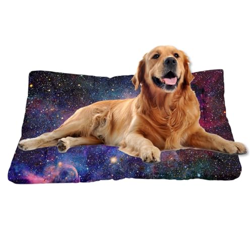 Nudoraw Hundebett Mittelgroße Hunde,Hundekissen Mittelgroße Hunde,Hundekörbchen,Hundebettn Waschbar,Hundematte Waschbarm,Hundebetten,Dog Bed,Hundekorb,Katzenkissen,Hundeliege,Galaxie-Print,61x46cm Nudoraw Hundebett Mittelgroße Hunde,Hundekissen Mittelgroße Hunde,Hundekörbchen,Hundebettn Waschbar,Hundematte Waschbarm,Hundebetten,Dog Bed,Hundekorb,Katzenkissen,Hundeliege,Galaxie-Print,61x46cm von Nudoraw