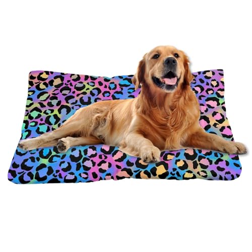 Nudoraw Hundebett Mittelgroße Hunde,Hundekissen Mittelgroße Hunde,Hundekörbchen,Hundekorb,Hundebetten,Dog Bed,Hundebettn Waschbar,Hundematte Waschbarm,Katzenkissen,Hundeliege,Leopardenmuster,61x46cm Nudoraw Hundebett Mittelgroße Hunde,Hundekissen Mittelgroße Hunde,Hundekörbchen,Hundekorb,Hundebetten,Dog Bed,Hundebettn Waschbar,Hundematte Waschbarm,Katzenkissen,Hundeliege,Leopardenmuster,61x46cm von Nudoraw