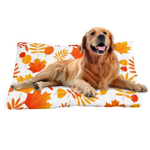 Nudoraw Hundebett Mittelgroße Hunde,Hundekissen Mittelgroße Hunde,Hundekörbchen,Hundekorb,Hundebetten,Dog Bed,Hundebettn Waschbar,Hundematte Waschbarm,Katzenkissen,Hundeliege,Thanksgiving,61x46cm Nudoraw Hundebett Mittelgroße Hunde,Hundekissen Mittelgroße Hunde,Hundekörbchen,Hundekorb,Hundebetten,Dog Bed,Hundebettn Waschbar,Hundematte Waschbarm,Katzenkissen,Hundeliege,Thanksgiving,61x46cm von Nudoraw