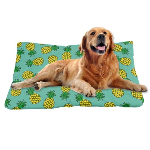 Nudoraw Hundebett Mittelgroße Hunde,Hundekissen Mittelgroße Hunde,Hundekörbchen,Hundekorb,Hundematte Waschbarm,Hundebetten,Dog Bed,Hundebettn Waschbar,Katzenkissen,Hundeliege,Ananas,61x46cm Nudoraw Hundebett Mittelgroße Hunde,Hundekissen Mittelgroße Hunde,Hundekörbchen,Hundekorb,Hundematte Waschbarm,Hundebetten,Dog Bed,Hundebettn Waschbar,Katzenkissen,Hundeliege,Ananas,61x46cm von Nudoraw