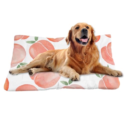 Nudoraw Hundebett Mittelgroße Hunde,Hundekissen Mittelgroße Hunde,Hundekörbchen,Hundekorb,Hundematte Waschbarm,Hundebetten,Dog Bed,Hundebettn Waschbar,Katzenkissen,Hundeliege,Pfirsich,61x46cm Nudoraw Hundebett Mittelgroße Hunde,Hundekissen Mittelgroße Hunde,Hundekörbchen,Hundekorb,Hundematte Waschbarm,Hundebetten,Dog Bed,Hundebettn Waschbar,Katzenkissen,Hundeliege,Pfirsich,61x46cm von Nudoraw